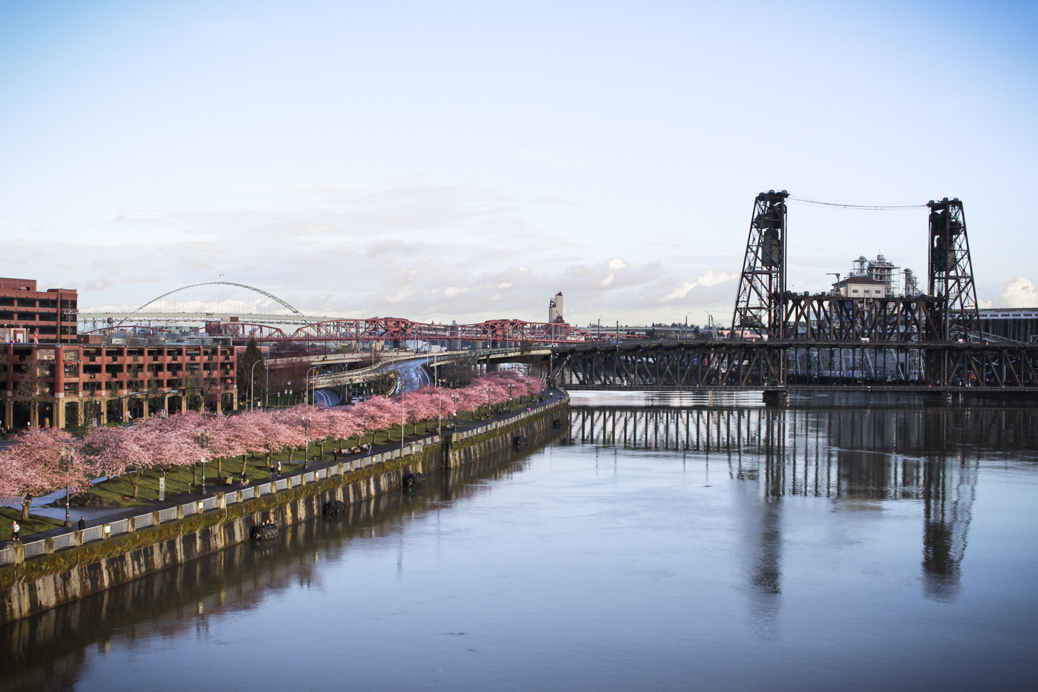 Waterfront view of Downtown Portland.