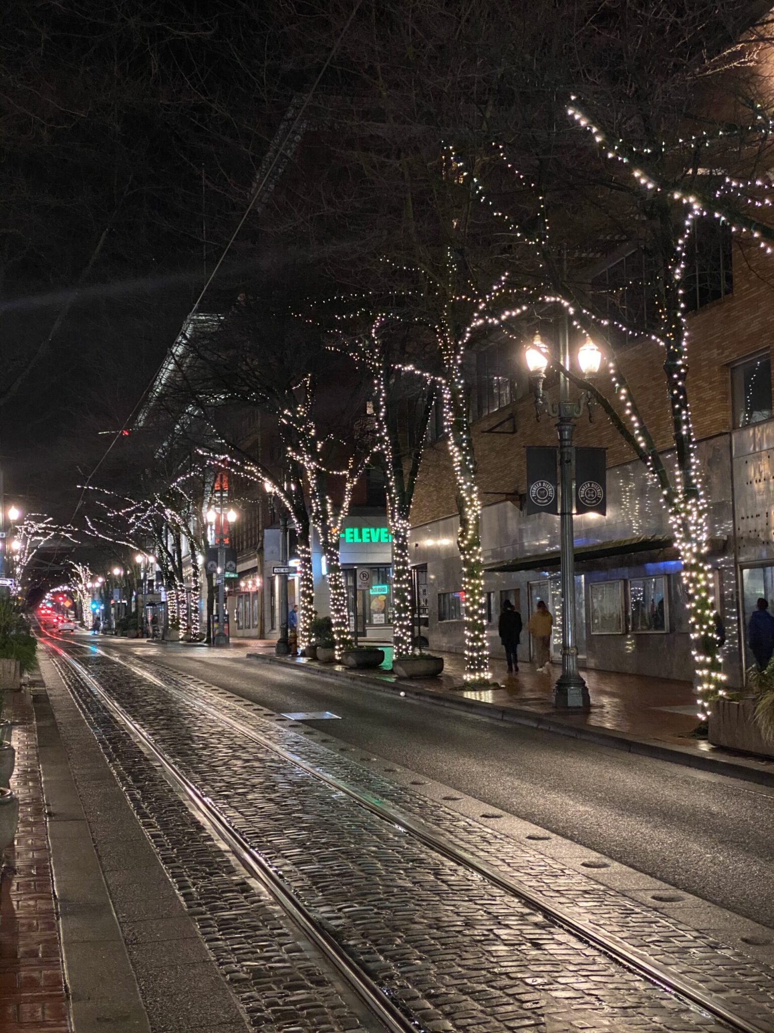 2021 Winter Pedestrian Counts in Downtown Portland Downtown Portland
