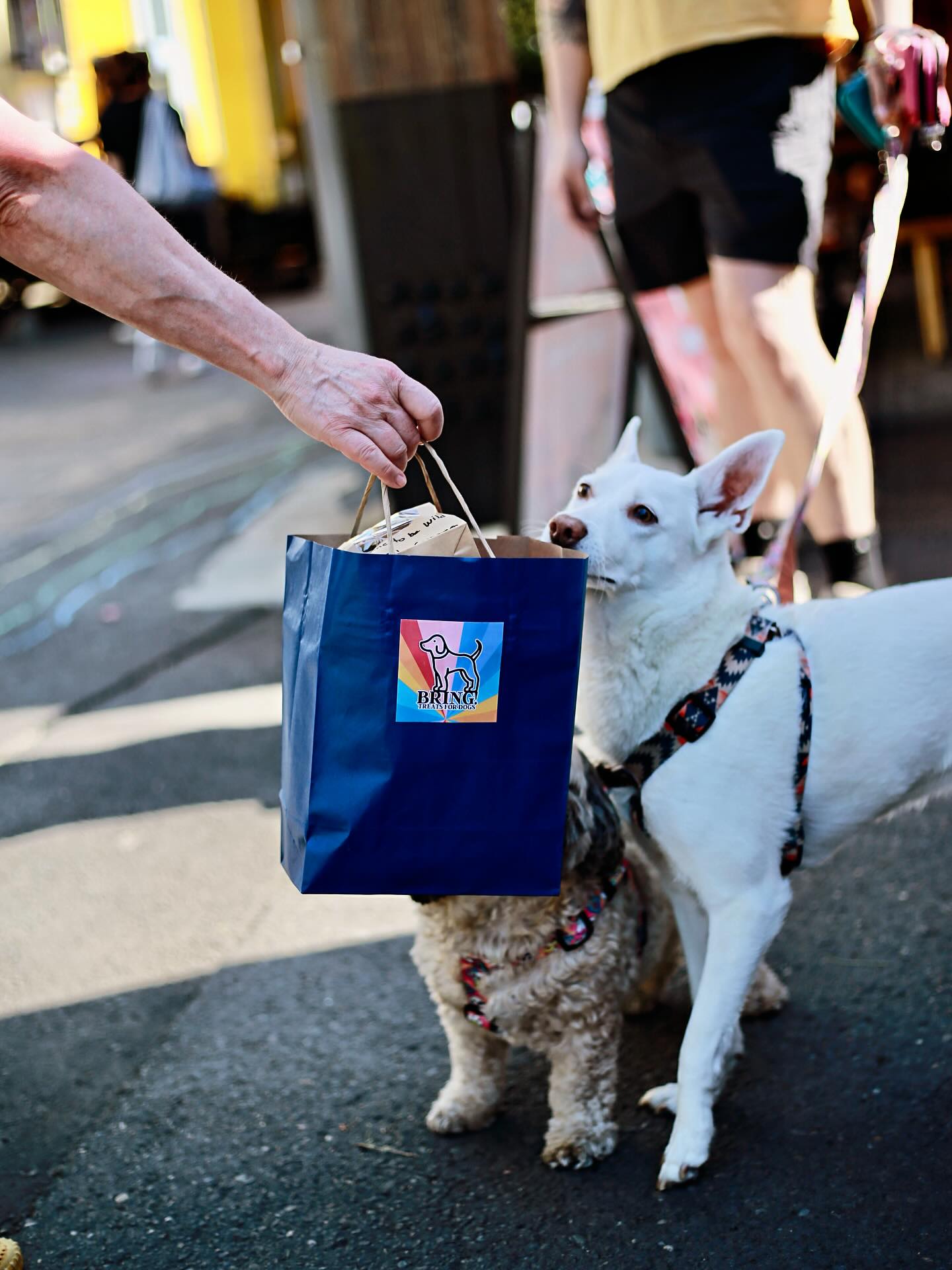 Bring! Treats for Dogs