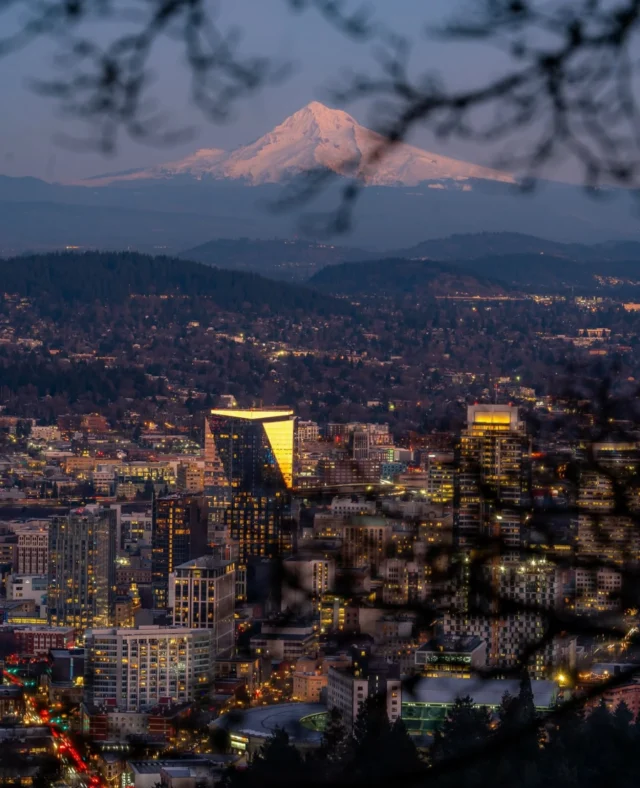 🌹🏔️🌹🏔️🌹🏔️🌹
 #DowntownPDX 

📷: @shutterbug_shah 

#PDX #PDXNOW #TravelPortland #TravelOregon #PortlandOregon #HereForPortland